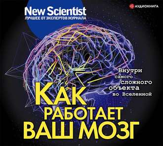 Обложка книги «Как работает ваш мозг»
