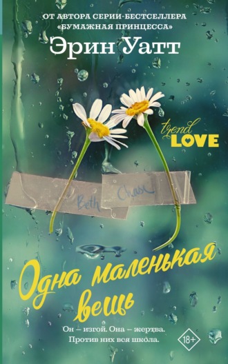 Обложка книги «Одна маленькая вещь»