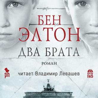 Обложка книги «Два брата»