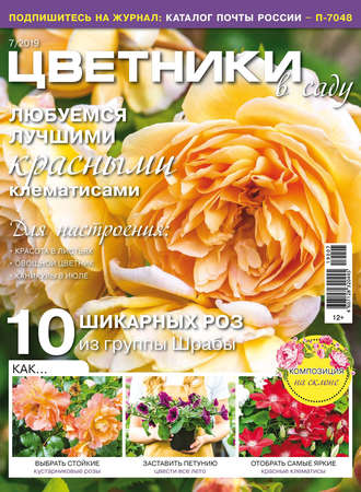 Обложка книги «Цветники в саду №07/2019»