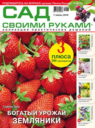 Обложка книги «Сад своими руками №07/2019»