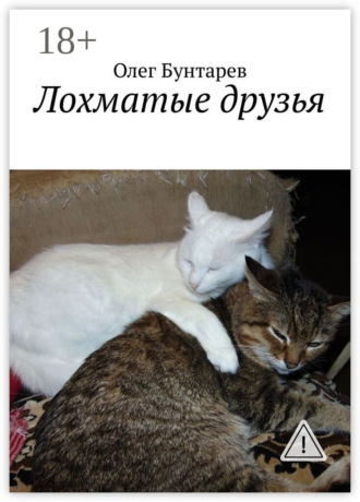 Обложка книги «Лохматые друзья»