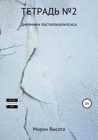 Обложка книги «Тетрадь №2. Дневники постапокалипсиса»
