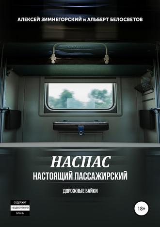 Алексей Зимнегорский. НАСПАС. Настоящий пассажирский. Дорожные байки