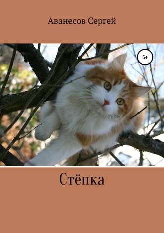 Обложка книги «Степка»
