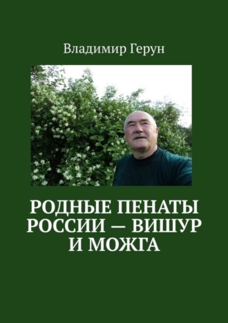 Обложка книги «Родные пенаты России – Вишур и Можга»