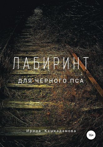 Обложка книги «Лабиринт для черного пса»