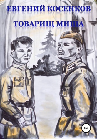 Обложка книги «Товарищ Миша»