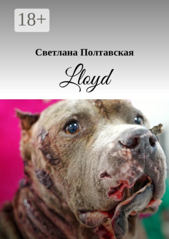 Обложка книги «Lloyd»