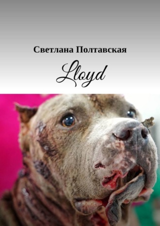 Светлана Полтавская. Lloyd