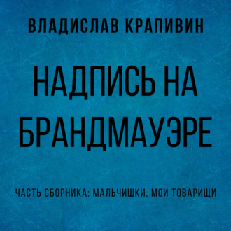 Обложка книги «Надпись на брандмауэре»