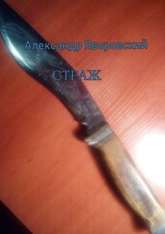 Обложка книги «Страж»