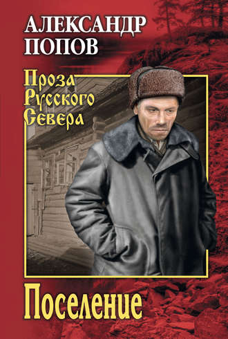 Обложка книги «Поселение»
