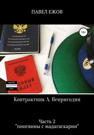 Обложка книги «Контрактник А. Непригодин. Часть 2»