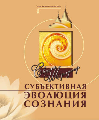 Обложка книги «Субъективная эволюция сознания»