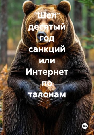 Обложка книги «Шел десятый год санкций или Интернет по талонам»