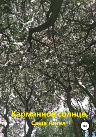 Обложка книги «Карманное солнце»