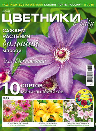 Обложка книги «Цветники в саду №08/2019»