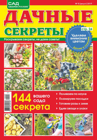 Обложка книги «Сад своими руками. Дачные секреты №08/2019»