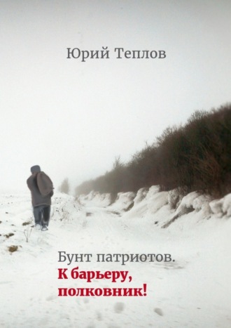 Юрий Теплов. Бунт патриотов. К барьеру, полковник!