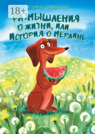 Обложка книги «Размышления о жизни, или История о Мерлине»