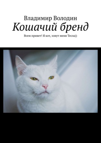 Обложка книги «Кошачий бренд. Всем привет! Я кот, зовут меня Тесла))»
