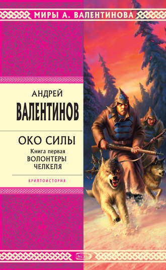 Обложка книги «Волонтеры Челкеля»
