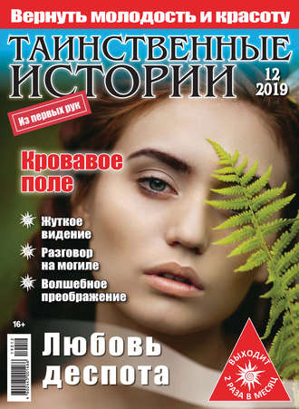 Обложка книги «Таинственные истории №12/2019»