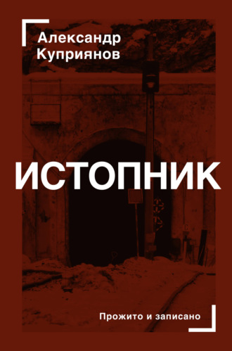 Обложка книги «Истопник»