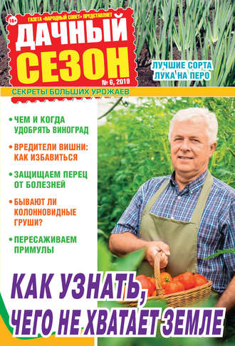 Обложка книги «Дачный сезон №06/2019»