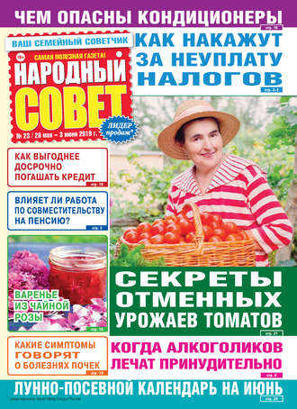 Обложка книги «Народный совет №23/2019»