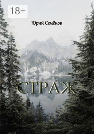 Обложка книги «Страж»