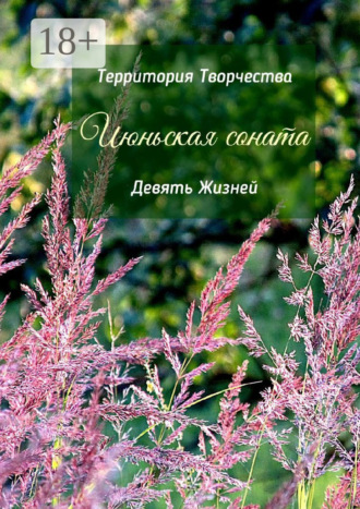 Обложка книги «Июньская соната. Девять Жизней»