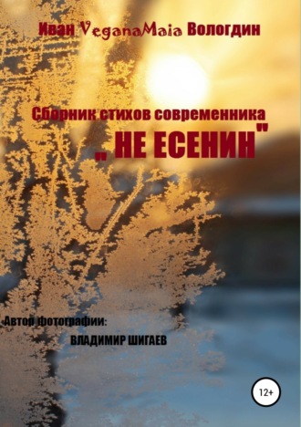Обложка книги «Не Есенин»