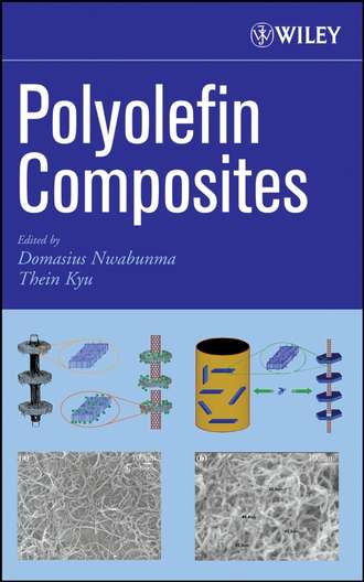 Domasius  Nwabunma. Polyolefin Composites