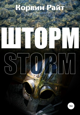 Обложка книги «Шторм»