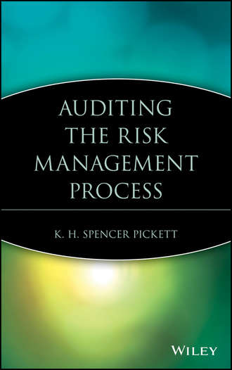 K. H. Spencer Pickett. Auditing the Risk Management Process