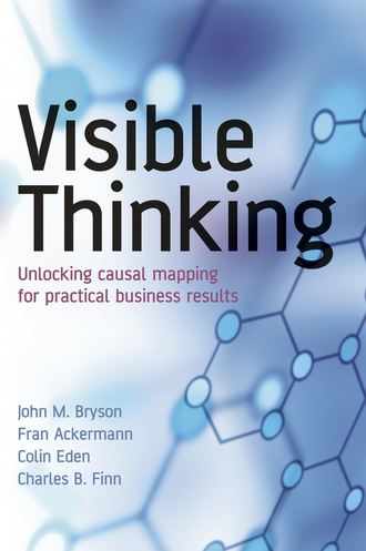 Fran  Ackermann. Visible Thinking