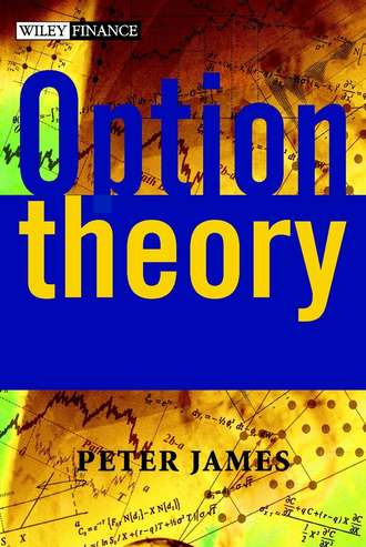 Группа авторов. Option Theory