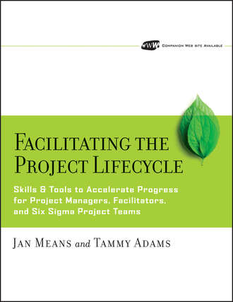 Tammy  Adams. Facilitating the Project Lifecycle