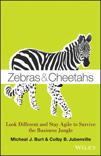 Micheal Burt J.. Zebras and Cheetahs