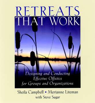 Merianne  Liteman. Retreats That Work