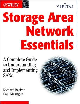 Richard  Barker. Storage Area Network Essentials