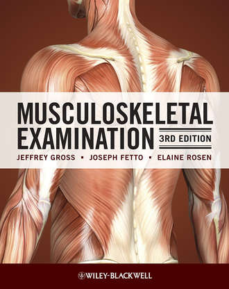 Jeffrey  Gross. Musculoskeletal Examination