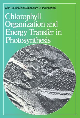 CIBA Foundation Symposium. Chlorophyll Organization and Energy Transfer in Photosynthesis