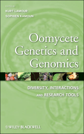 Sophien  Kamoun. Oomycete Genetics and Genomics