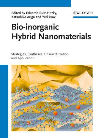 Katsuhiko  Ariga. Bio-inorganic Hybrid Nanomaterials