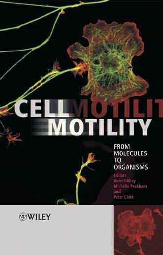 Peter  Clark. Cell Motility