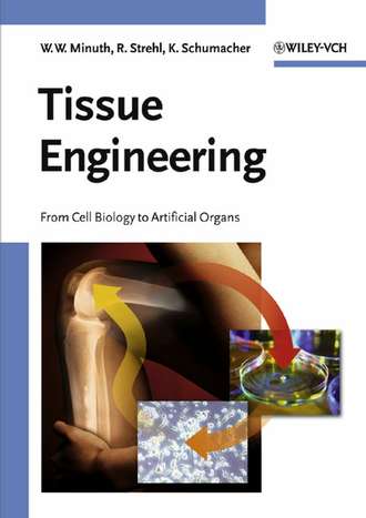 Raimund  Strehl. Tissue Engineering