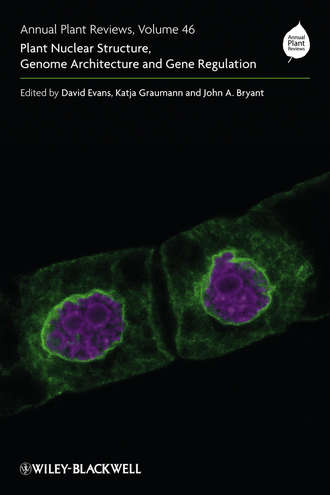 David Evans. Annual Plant Reviews, Plant Nuclear Structure, Genome Architecture and Gene Regulation